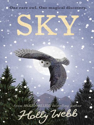 Sky - ebook
